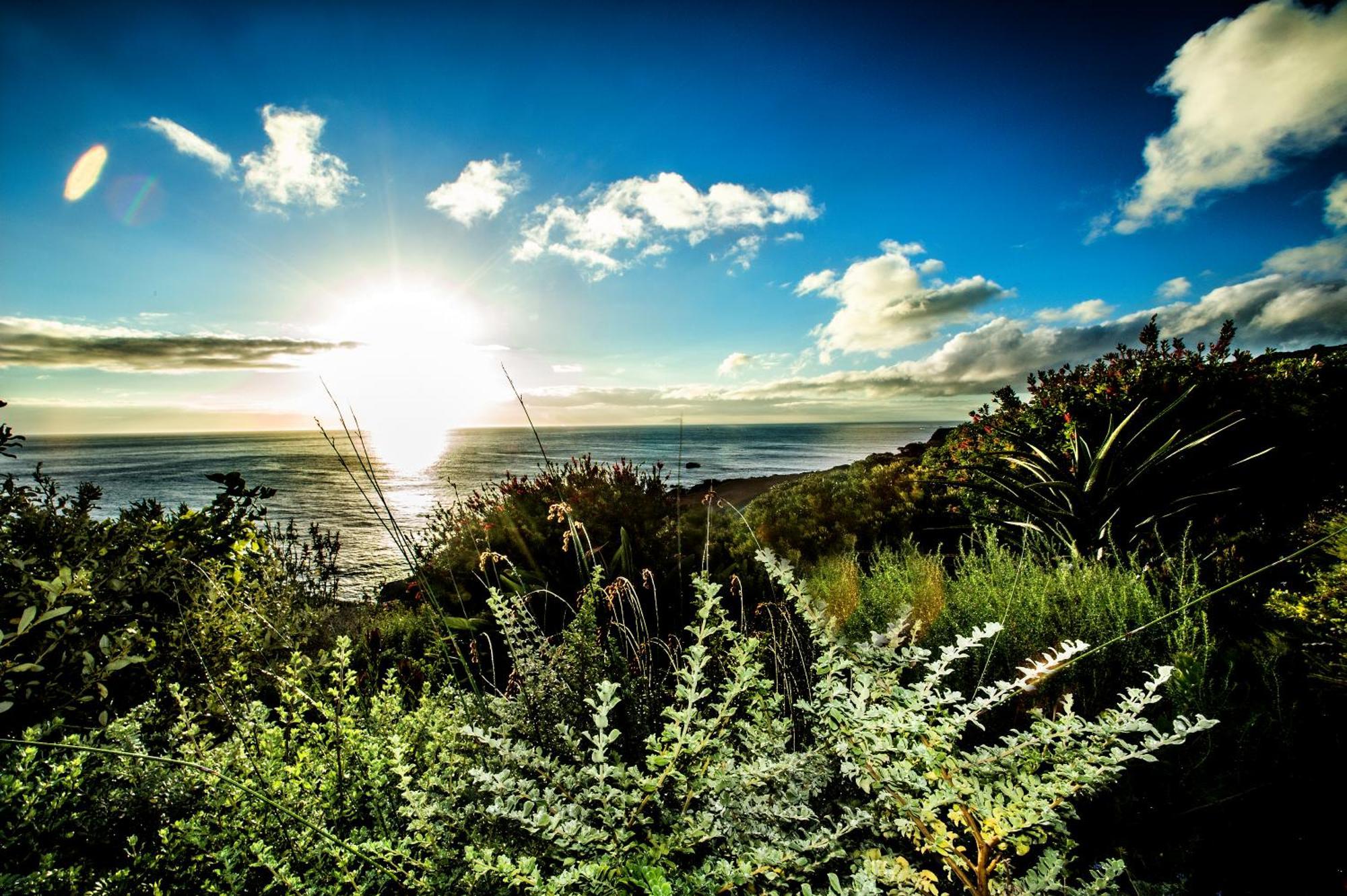 Rocklands Seaside Bed And Breakfast Саймонстаун Экстерьер фото